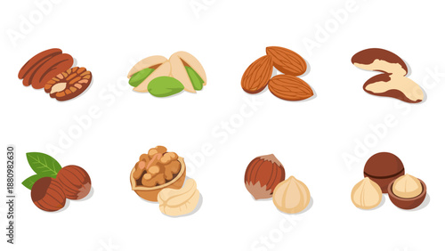 Various edible nuts in modern flat design set on white background