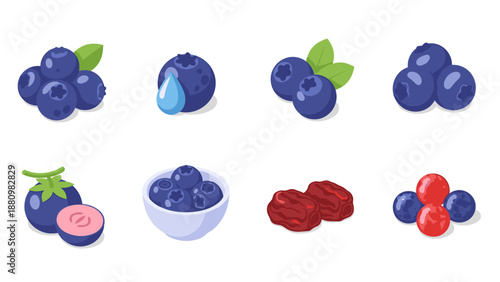 Various berries set: blueberry, juicy, fresh, dried fruit collection with leaves