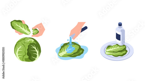Step-by-step guide to preparing fresh cabbage with washing and peeling techniques