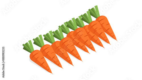 Row of fresh carrots with green tops in modern flat design