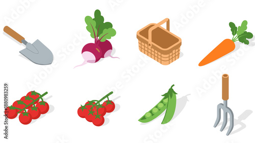 Isometric gardening tools and vegetables for modern farming and agriculture designs