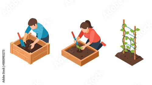 Isometric gardening: raised beds and vertical planting techniques for home gardeners