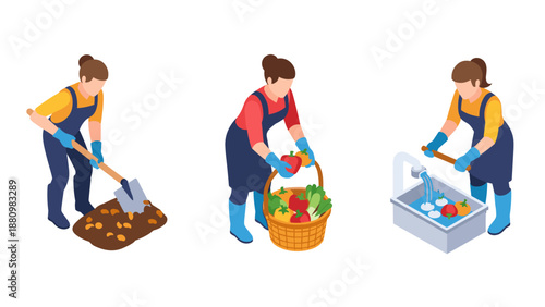Isometric farming activities: planting, harvesting, and washing vegetables
