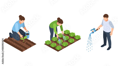 Isometric gardening activities: planting, harvesting, and watering