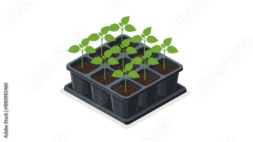 Isometric seedling tray with young plants for gardening and agriculture