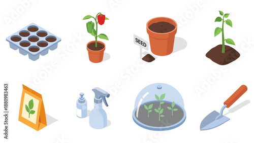 Isometric gardening set: seedlings, tools, and growth stages for home horticulture