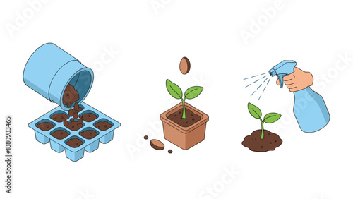 Step-by-step guide: growing seedlings with simple gardening techniques