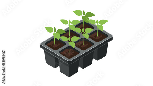 Isometric seedlings in tray: gardening and plant growth concept
