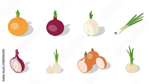 Colorful isometric onion set with varieties and cross sections