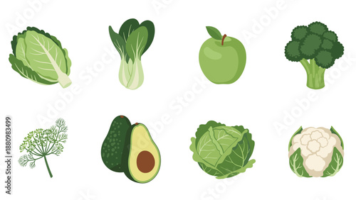 Fresh green produce collection featuring cabbage, bok choy, apple, broccoli, dill, avocado, lettuce, and cauliflower in flat design