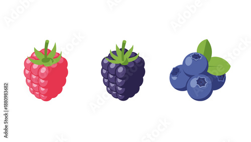 Colorful berry trio: raspberry, blackberry, and blueberry on white background