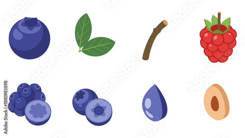 Colorful berry and leaf set with blueberry and raspberry elements