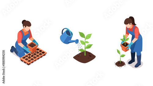 Isometric gardening process with seedlings and watering can