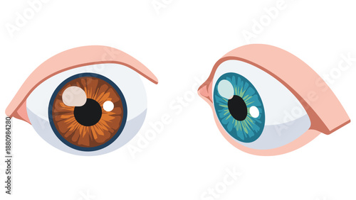 Realistic eye designs in detailed art with brown and blue iris colors