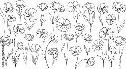 Black and white illustration of various flowers isolated on transparent background