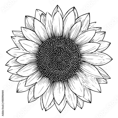 A sleek, dark, and minimalist black background providing an expansive blank canvas for creative design, ideal for text overlays and graphic elements, offering clean, modern copy space.