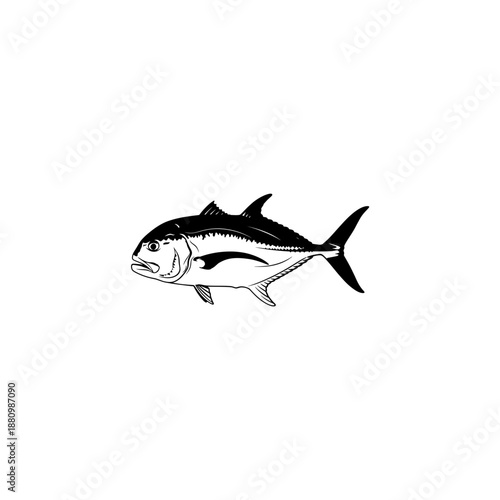 shark vector illustration