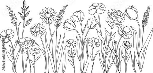 Black and white illustration of various wildflowers isolated on transparent background