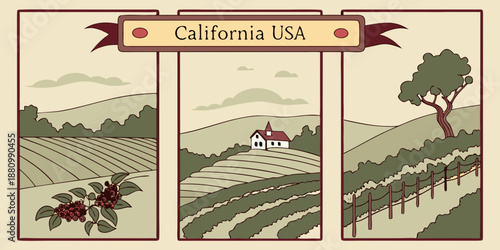 U.S, USA, US, United States - California Agriculture Triptych — Scenic Farmland, Vineyard & Countryside Illustration | Rustic California USA Wall Art Print | Modern Farmhouse Decor | Digital Download
