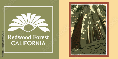 U.S, USA, US, United States - Redwood Forest California — Majestic Tall Trees & Scenic Woodland Illustration | Rustic Nature Wall Art Print | Vintage‑Style Outdoor Decor | Digital Download
