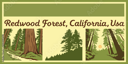 U.S, USA, US, United States - Redwood Forest California USA — Majestic Tall Trees Triptych Illustration | Scenic Woodland Nature Wall Art Print | Rustic Vintage‑Style Outdoor Decor | Digital Download

