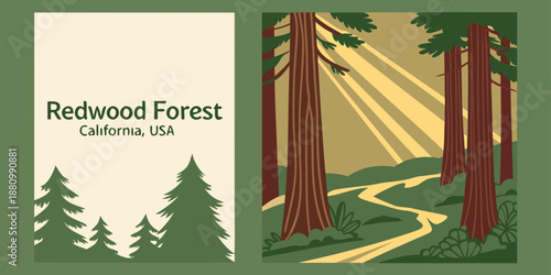 U.S, USA, US, United States - Redwood Forest California USA — Tall Trees & Sunlit Woodland Path Illustration | Rustic Nature Wall Art Print | Vintage‑Style Outdoor Decor | Digital Download
