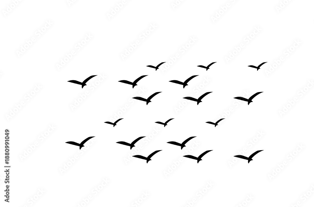 Fototapeta premium Flying birds silhouette on white background.