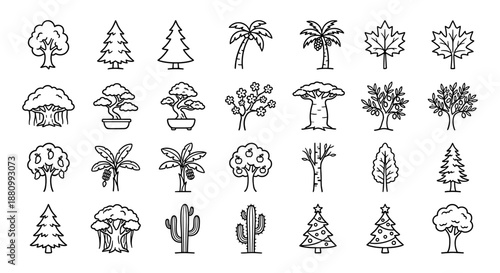 A collection of diverse tree illustrations, showcasing various species and styles.