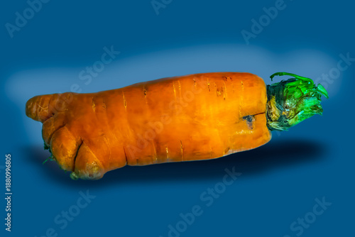 fresh organic carrot on a blue background