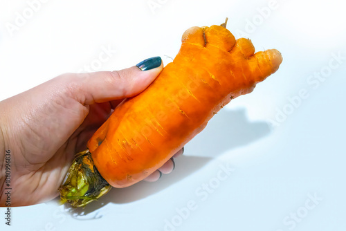 fresh organic carrot on a white background