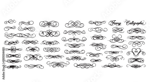 A collection of fancy calligraphic swirls and flourishes on a white background flourishes dividers decorative border design concept