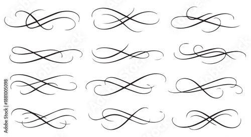 A collection of elegant black calligraphy swirls on a white background flourishes dividers decorative border design concept