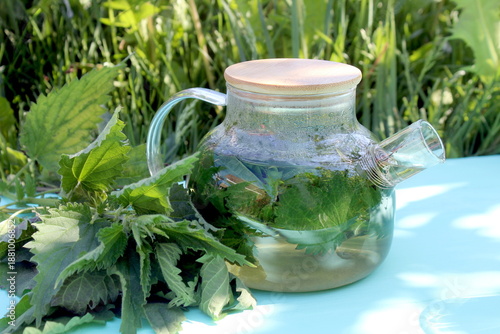 Tableau sur toile A decoction of nettle leaves in a teapot stands on a wooden table