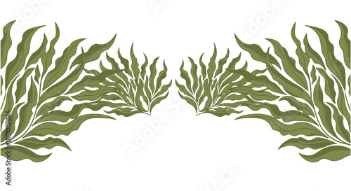 An illustration of green seaweed on a white background for design and decoration dividers decorative border design concept