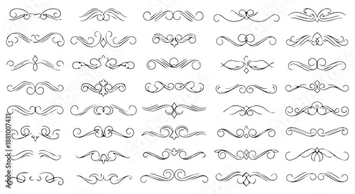 A collection of elegant black swirl designs on a white background flourishes dividers decorative border design concept