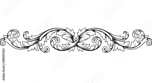 A beautiful black and white floral design on a plain background flourishes dividers decorative border design concept