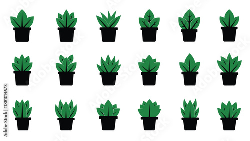 A collection of small potted green plants arranged in a grid pattern