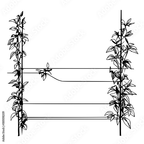 Minimalist black line art trellis connector joint on a clean white background, perfect for garden design elements, DIY projects, and architectural illustrations.
