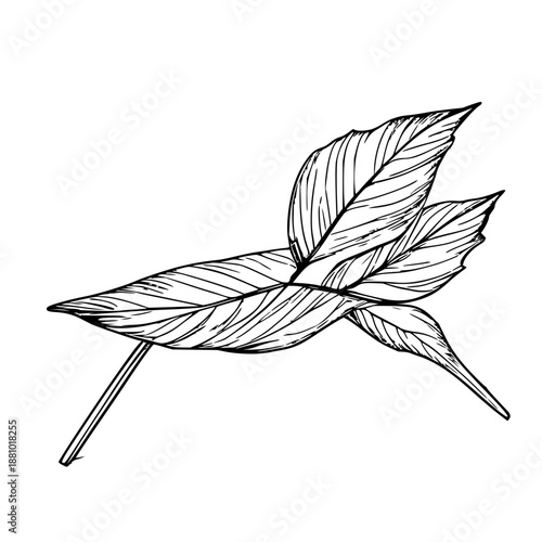 Minimalist Black Line Art Illustration of a Table Leaf Alignment Pin, Isolated on a Clean White Background for Design Projects