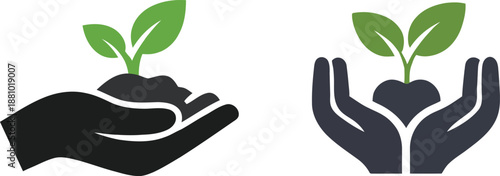 Hands holding young plant seedling symbolizing sustainability and environmental care