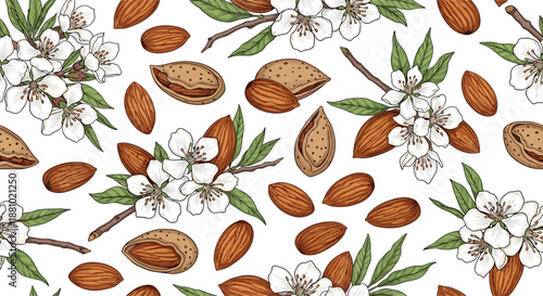 Beautiful almond seamless pattern featuring whole and shelled nuts alongside delicate white blossoms and green leaves on a white background.