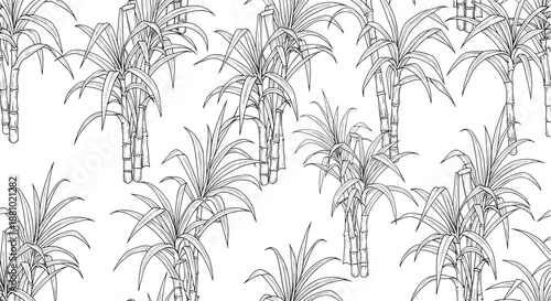 Detailed black and white outline seamless pattern of sugarcane plants with stalks and foliage for coloring book or agricultural design projects.