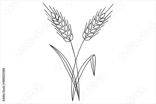 Illustration of wheat stalks Vector