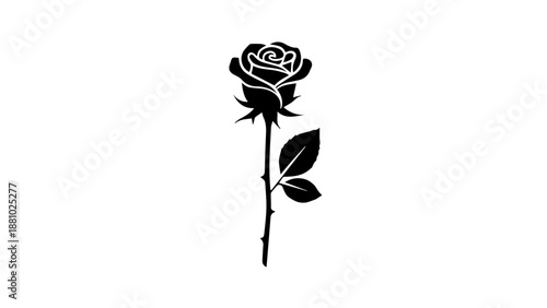 Single black rose silhouette isolated on white background, Vector