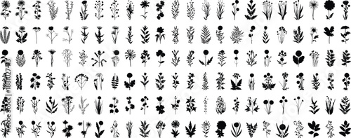 Flower and plant silhouettes, botanical vector illustration, black icons, floral diversity, leaf shapes, stem variations, garden design, nature chart