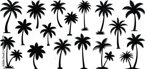 Palm tree silhouettes, tropical vector illustration, black icons, frond shapes, curved trunks, beach design, exotic foliage, summer landscape