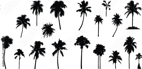 Palm tree silhouettes, tropical vector illustration, black icons, frond shapes, curved trunks, stylized base, beach design, exotic foliage