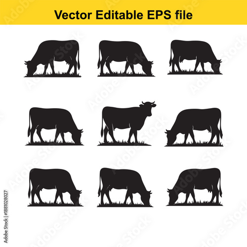  vector editable eps file of multiple cow silhouettes grazing