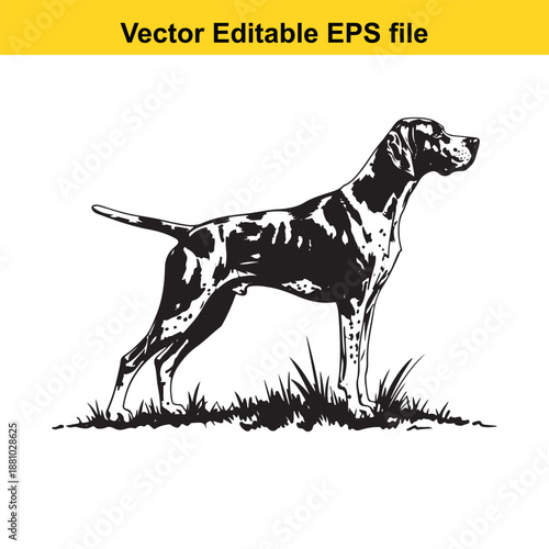  black and white illustration of a dog standing in grass