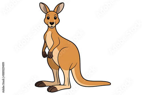 Cute cartoon kangaroo illustration